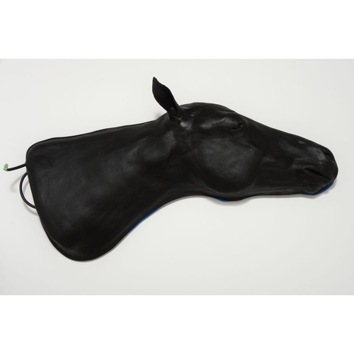 Equine Simulator 1.0