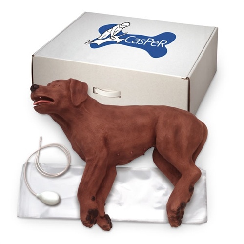 Canine CPR Simulator - CasPeR The CPR Dog Manikin