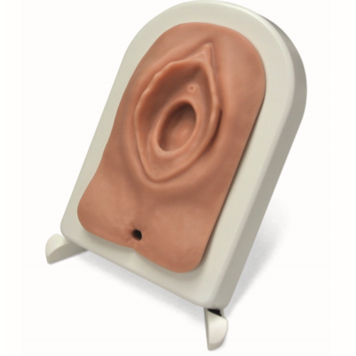 Episiotomy and Suturing Simulator