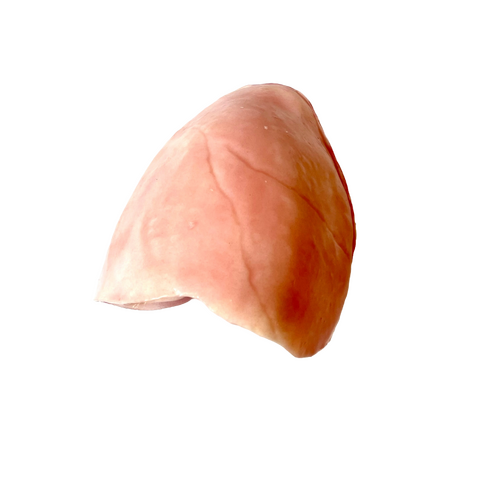 SynDaver Silicone Lung Pair