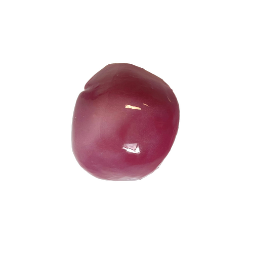 SynDaver Silicone Spleen