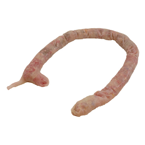 SynDaver SynTissue Large Intestine Adult