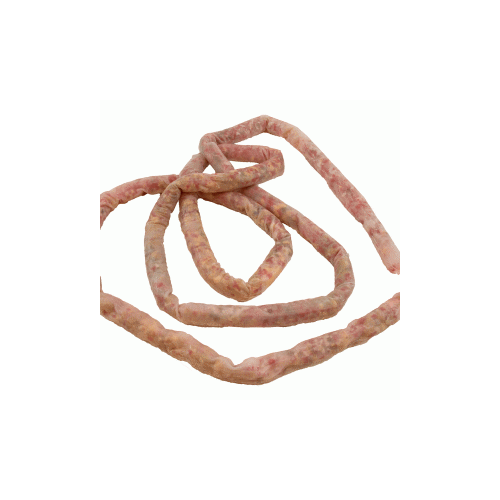 Small Intestine