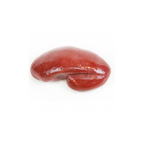 Spleen