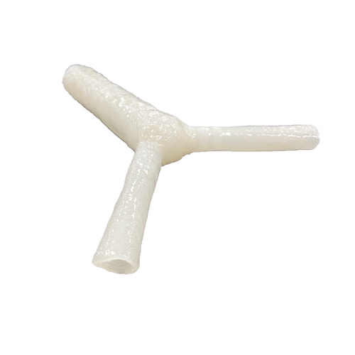 SynDaver SynTissue Trachea 1st Generation Bronchi