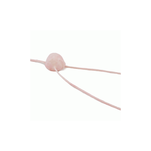 Urinary Bladder