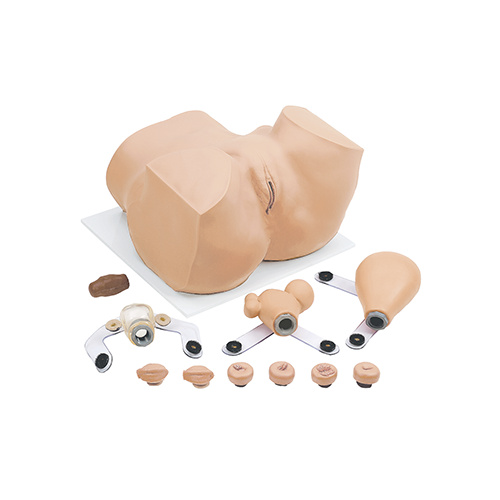 EVA Gynaecological Training Manikin