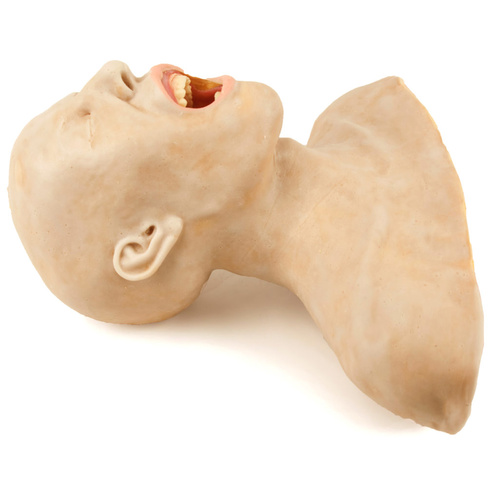 SynDaver Adult Airway Trainer