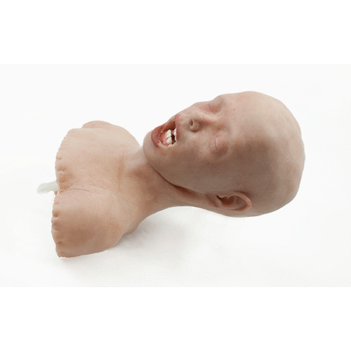 Pediatric Airway Trainer