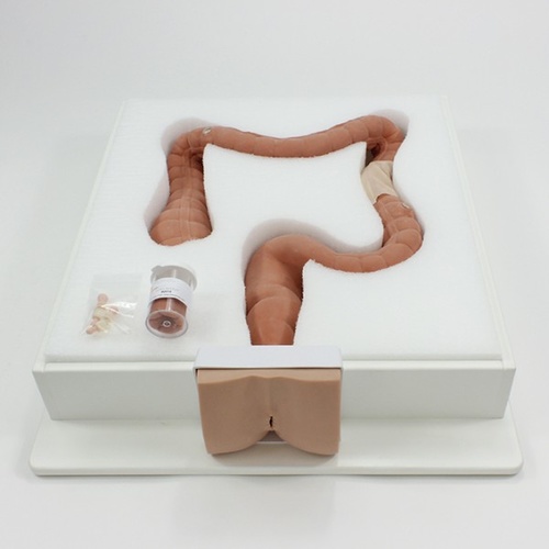 Colonoscopy Trainer