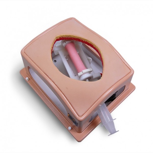 Belly Case - Open Gastrointestinal Operation Trainer