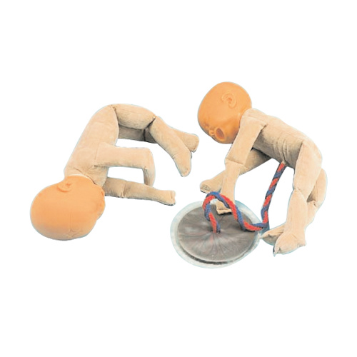 Foetal Doll Model for Nursing Education