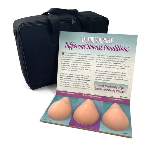 Multi-Type BSE Model Display, Beige