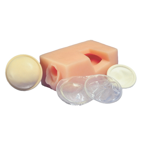Female Pelvis Contraceptive Model