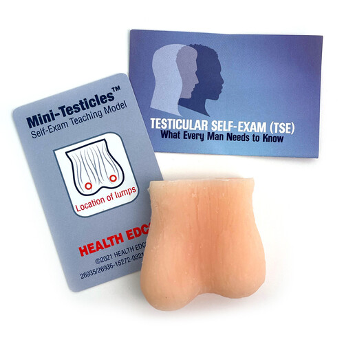 Mini-Testicles Model, Beige