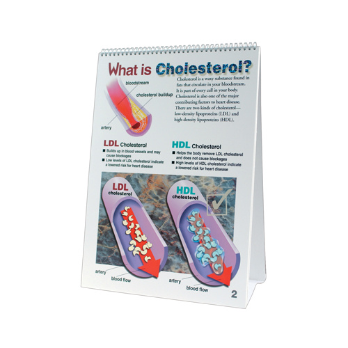 Cholesterol Flip Chart