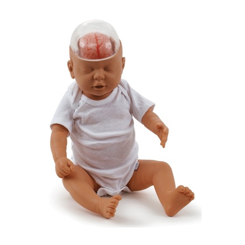 Shaken Baby Demonstration Model