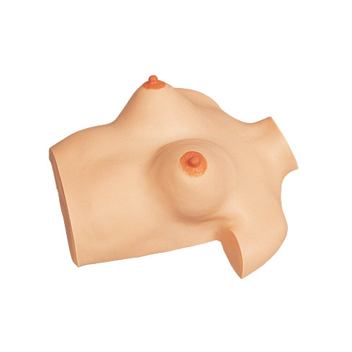 Mamma Simulator Breast Massage Model