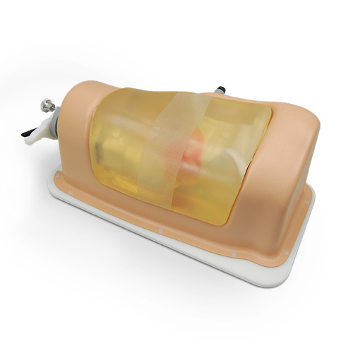 Hip Labrum Access and Repair Trainer