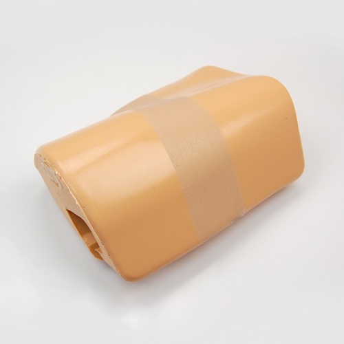 Hip Labrum Replacement Opaque Skin