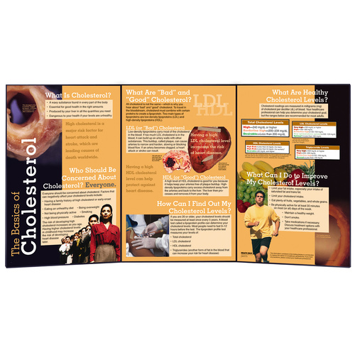 The Basics of Cholesterol Folding Display