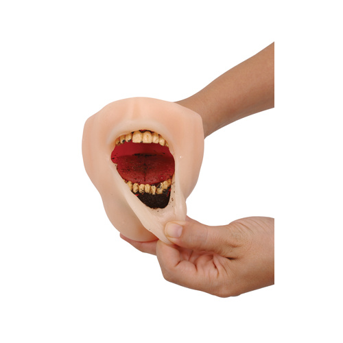 Mr Dip Lip