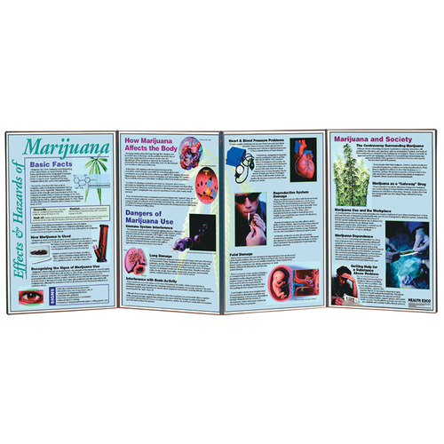 Effects & Hazards of Marijuana Folding Display