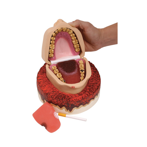 Smoker's Foul Mouth Display