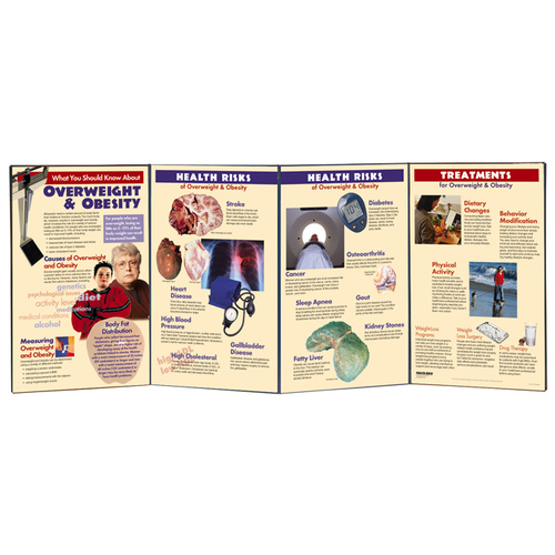 Overweight and Obesity Folding Display