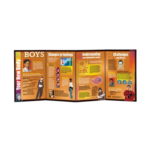  Your New Body: Boys Folding Display