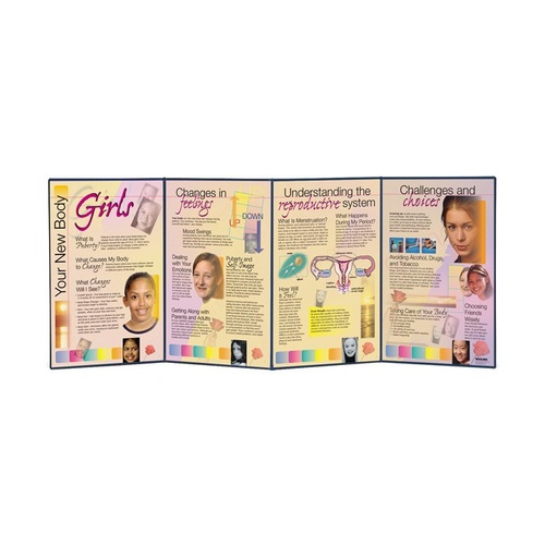 Your New Body: Girls Folding Display