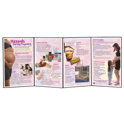 Hazards During Pregnancy Folding Display