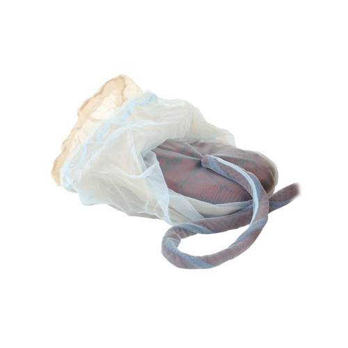 Placenta/Cord/Amnion/Chorion Model