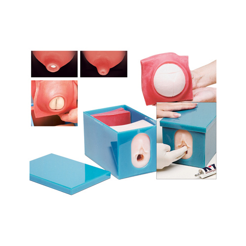 Foetal Monitoring and Labour Progress Model Set