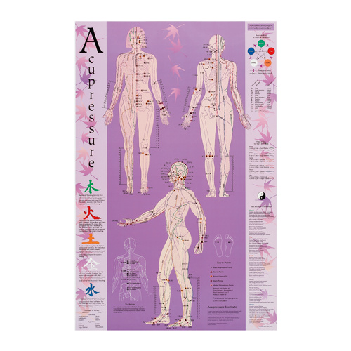Acupressure Points Reference Chart (Poster - Soft Lamination)