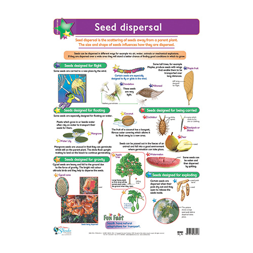 Seed Dispersal