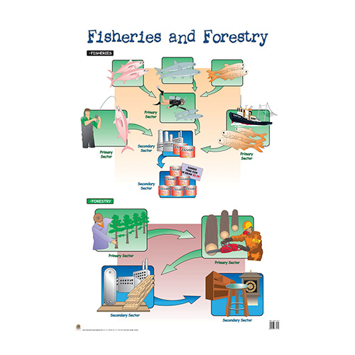 Fisheries and Forestry