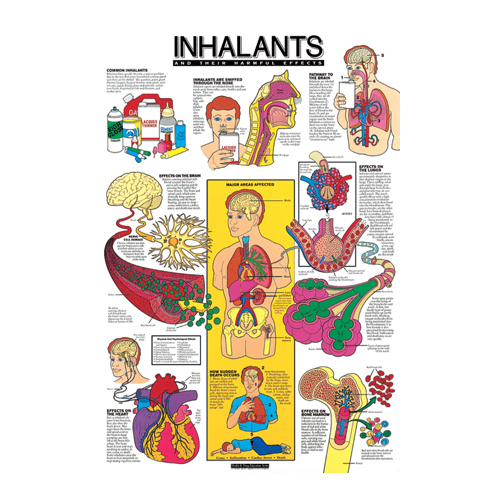 Inhalants and Their Harmful Effects