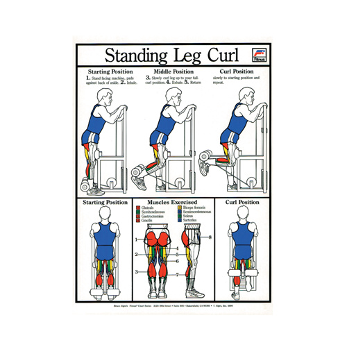 Standing Leg Curl