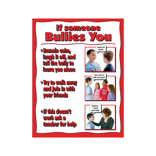 If Someone Bullies You