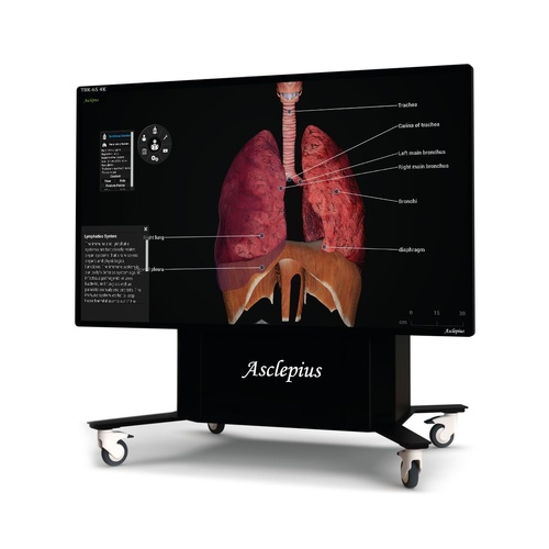 Asclepius TBK 65 4K Virtual Dissection Table