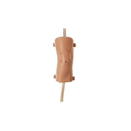 CLA Knee Joint Arthroscopy Simulator