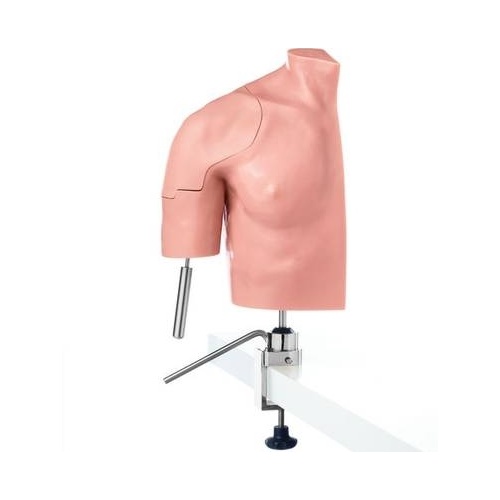 CLA Arthroscopy Model Of Shoulder Joint - Life-Size