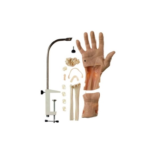 CLA Arthroscopic Simulators Of The Wrist