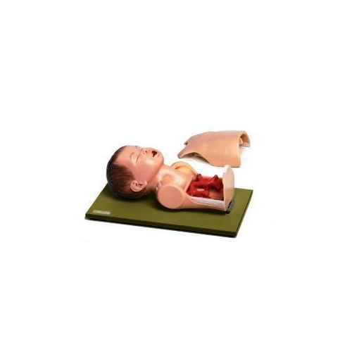 Broncho-Boy Junior Anesthesiology Trainer