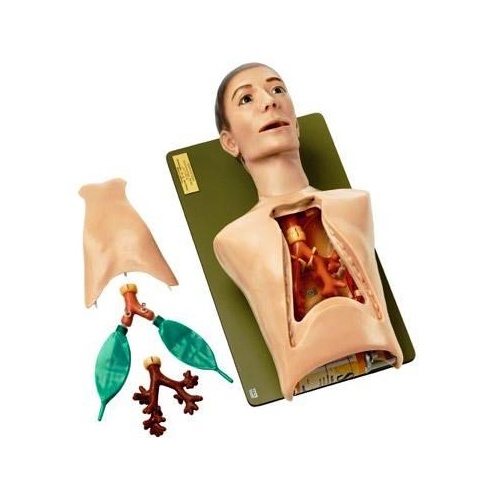 Scopin-Broncho-BOY II - Universal Bronchoscopy And Anesthesiology Trainer
