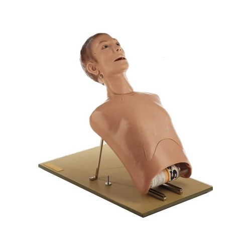 Bronchoscopy Model - Broncho Boy