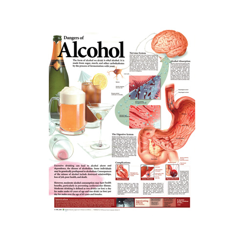 Anatomical Chart- Dangers of Alcohol 