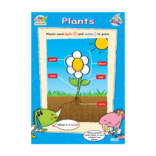 Early Learning Schools Posters - Plants