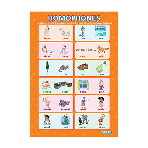 English School Poster- Homophones